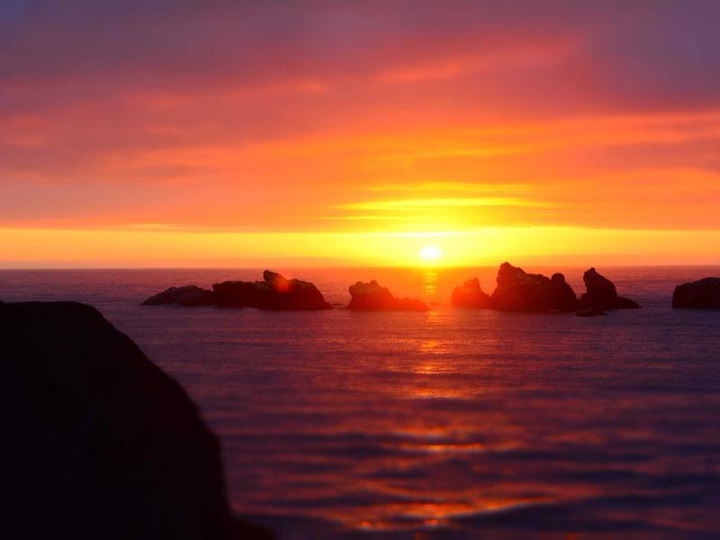 Ấm Trà Gốm Bình Định