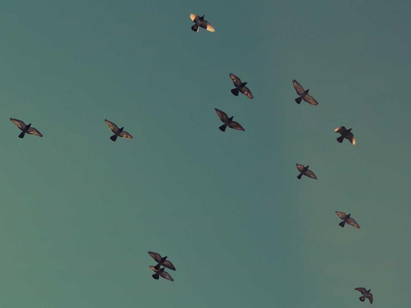 Bình Hoa Gốm Sài Gòn Men Xanh